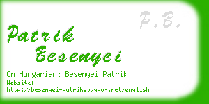 patrik besenyei business card